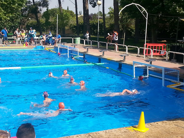 UN GRAN FIN DE SEMANA DE FANATICOS DEL WATERPOLO — cartel